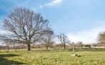 Grond te koop in Haaltert, 1500 m² of meer