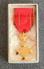 Veteranen van Koning Albert 1, Verzenden, Landmacht, Lintje, Medaille of Wings