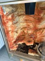 Terrarium te koop, Dieren en Toebehoren, Ophalen, Zo goed als nieuw