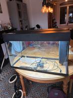 Aquarium Juwel Rio 125 - bon etat, Animaux & Accessoires, Poissons | Aquariums & Accessoires, Enlèvement, Utilisé, Aquarium vide