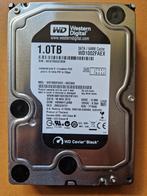 1TB Harde schijf Western Digital WD1002FAEX (Caviar Black), Computers en Software, Harde schijven, Intern, Gebruikt, 1TB, Desktop