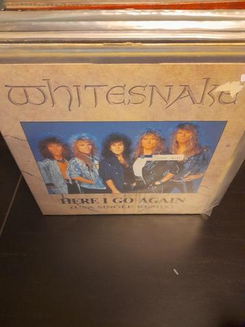 12" - whitesnake - here i go again - bak 4 beschikbaar voor biedingen