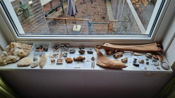 Verzameling fossielen/stenen, Verzamelen, Mineralen en Fossielen, Ophalen of Verzenden