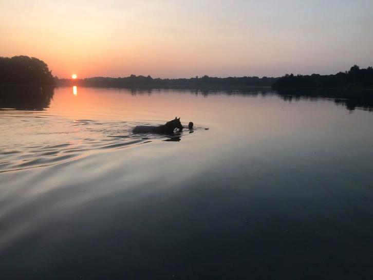 Stalmedewerker, Offres d'emploi, Emplois | Agriculture, Nature & Environnement