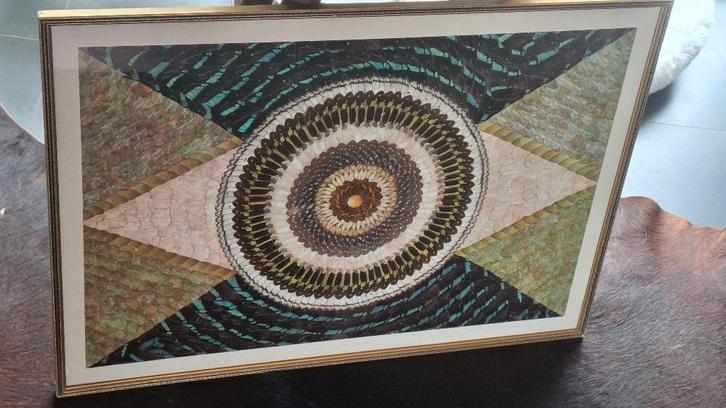 uniek kunstwerk gemaakt met honderden vlindervleugels, Antiek en Kunst, Kunst | Designobjecten, Ophalen