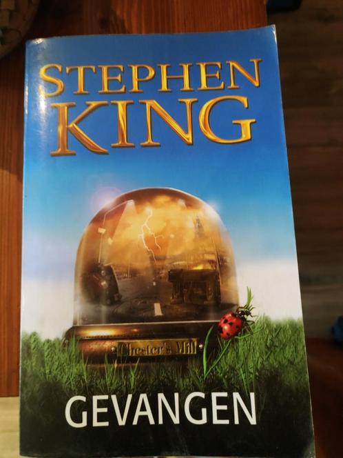 Stephen King - Gevangen, Livres, Thrillers, Comme neuf, Enlèvement ou Envoi