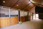 Trainingstal, Dieren en Toebehoren, Stalling en Weidegang, Weidegang