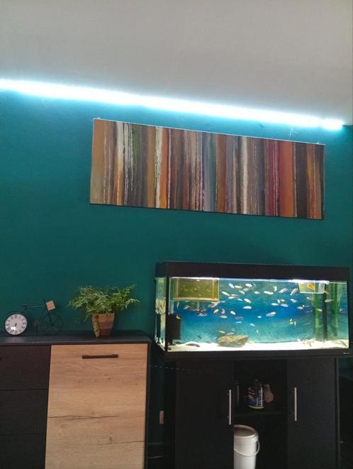 Compleet aquarium, Dieren en Toebehoren, Vissen | Aquaria en Toebehoren, Zo goed als nieuw, Ophalen