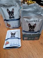 Amanova natvoer lam, Enlèvement ou Envoi, Chien