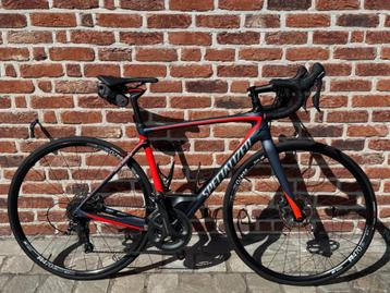 SPECIALIZED - Racefiets - Roubaix Expert - Maat 54 - M beschikbaar voor biedingen