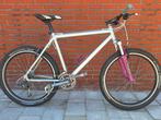 Mountainbike, 49 tot 53 cm, Ophalen, Zo goed als nieuw, Heren