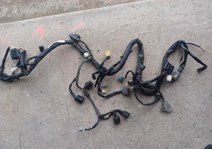 Elektrisch harnas, 700 raptor, Ophalen of Verzenden, Gebruikt