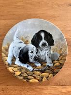 Vintage wandbord met honden English Setters, Ophalen of Verzenden