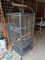 Papegaai kooi, Dieren en Toebehoren, Ophalen, Gebruikt, Metaal