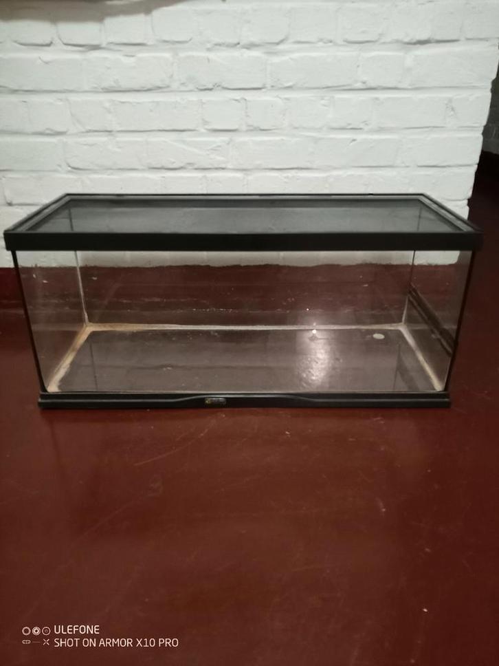 Divers accessoires, Dieren en Toebehoren, Reptielen en Amfibieën | Toebehoren, Gebruikt, Ophalen