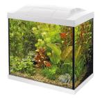 Aquarium SuperFish Start 50 Tropical kit Wit, Dieren en Toebehoren, Ophalen, Nieuw, Leeg aquarium