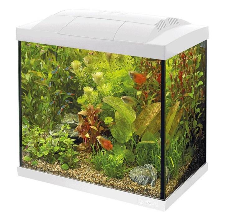 Aquarium SuperFish Start 50 Tropical kit Wit, Dieren en Toebehoren, Vissen | Aquaria en Toebehoren, Nieuw, Leeg aquarium, Ophalen