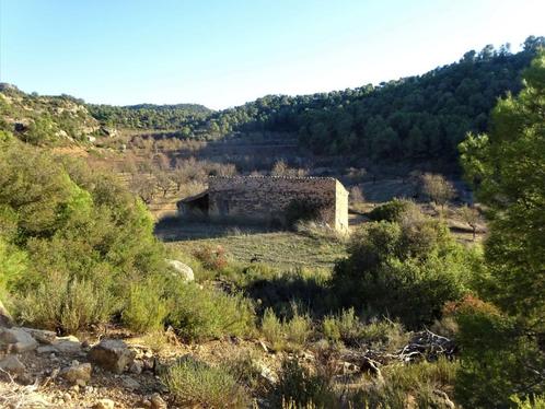 Finca in Maella (Aragon, Spanje) - 0672, Immo, Buitenland, Spanje, Overige soorten, Landelijk