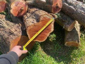 hout voor draaibank of houtsnijden beschikbaar voor biedingen