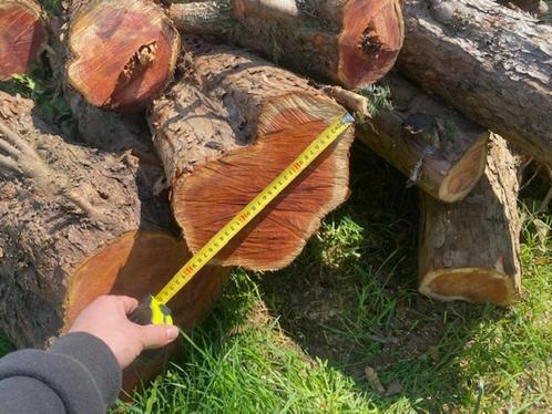 hout voor draaibank of houtsnijden, Doe-het-zelf en Bouw, Draaibanken, Nieuw, Ophalen