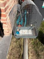 Vogelkooi, Dieren en Toebehoren, Ophalen, Gebruikt, Vogelkooi