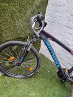B Twin mountainbike, Fietsen en Brommers, Ophalen, Gebruikt, Dames