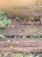 Gratis treinbiels, Tuin en Terras, Ophalen, Gebruikt, 25 cm of meer, Biels