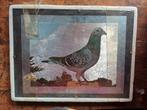 2 ingelijste vintage duivenprentjes (postduiven), Dieren en Toebehoren