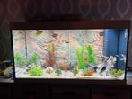 Aquarium, Dieren en Toebehoren, Ophalen, Zo goed als nieuw