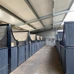 Stal te huur regio Lubbeek, Dieren en Toebehoren, Stalling en Weidegang, Stalling, 1 paard of pony