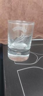 kleine baileys glas, Ophalen of Verzenden, Zo goed als nieuw