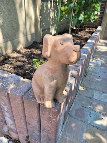 Mooie stenen hond voor tuindecoratie of aan voordeur beschikbaar voor biedingen