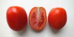 5 zaden tomaat Roma Rio Grande, Tuin en Terras, Voorjaar, Zaad, Verzenden