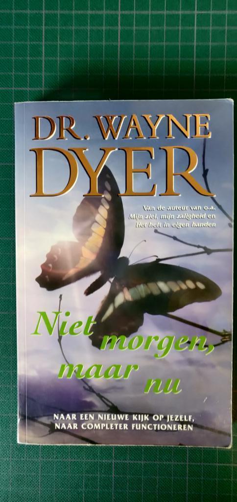 niet morgen maar nu, Boeken, Advies, Hulp en Training, Gelezen, Ophalen of Verzenden