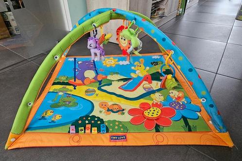 Speelmat Tiny Love Gymini, Kinderen en Baby's, Speelgoed | Speelkleden, Gebruikt, Ophalen
