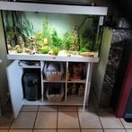 Aquarium jewel met vele toenbehoren oa. buitenfilter, Dieren en Toebehoren, Ophalen, Zo goed als nieuw