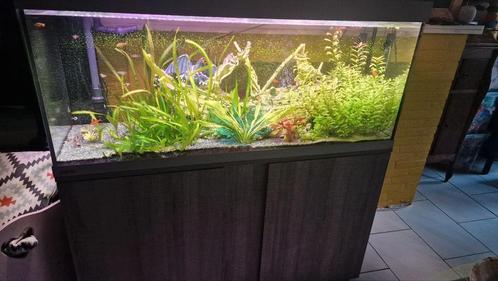 Eheim aquarium 120 cm, Dieren en Toebehoren, Vissen | Aquaria en Toebehoren, Zo goed als nieuw, Ophalen