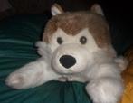 peluche chien huskie, Enlèvement ou Envoi, Chien
