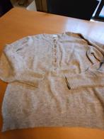 beige pull, Kleding | Dames, Truien en Vesten, Ophalen of Verzenden, Gedragen, Maat 38/40 (M), Beige