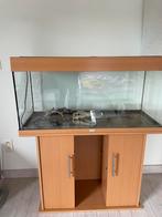 Aquarium, Dieren en Toebehoren, Reptielen en Amfibieën | Toebehoren, Ophalen, Gebruikt