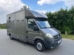 Opel Movano Paardenwagen Bj 2008 107.000km's, Animaux & Accessoires, Chevaux & Poneys | Semi-remorques & Remorques, Comme neuf