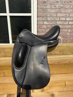 Harry Dabbs Allure, Dieren en Toebehoren, Ophalen of Verzenden, Zo goed als nieuw, Dressuur