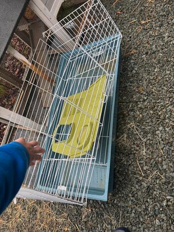 Binnen konijnenkot, Enlèvement