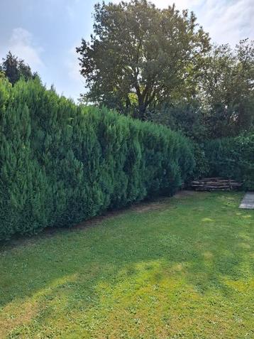 Jardinier payagiste  beschikbaar voor biedingen