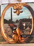 boek met foto's van Parijs, Boeken, Natuur, Zo goed als nieuw