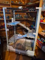 Nieuw knaagdierenhok, Enlèvement