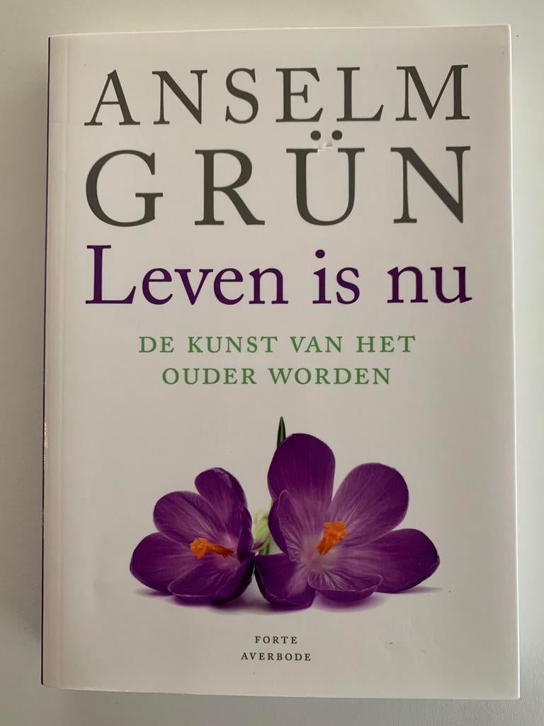 Anselm Grün - Leven is nu, Livres, Ésotérisme & Spiritualité, Comme neuf, Enlèvement ou Envoi