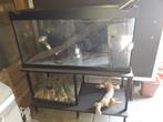 Aquarium met onderstel + accessoires, Dieren en Toebehoren, Vissen | Aquaria en Toebehoren, Ophalen, Gebruikt