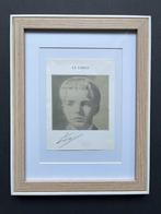 LUC TUYMANS - Wenn der Frühling kommt ( INGELIJST ), Ophalen