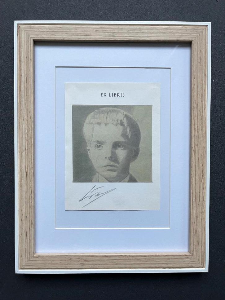 LUC TUYMANS - Quand le printemps arrive (ENCADRÉ), Antiquités & Art, Art | Lithographies & Sérigraphies, Enlèvement